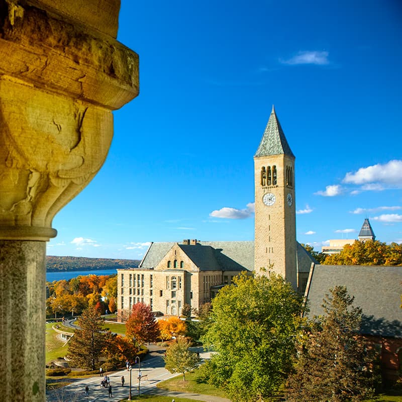 cornell CHRO leadership program