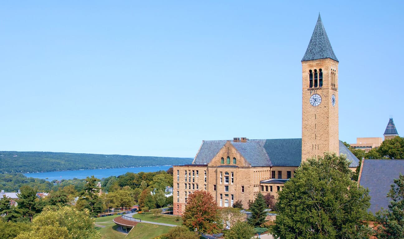 Cornell Chief AI Officer Program